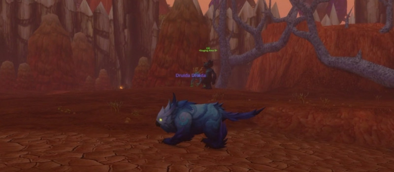 Skyborne Bear Form — a blue-feathered bear hybrid with a beak, previewed from WoW Forever